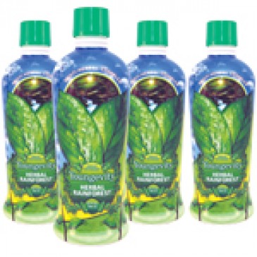 Herbal Rainforest - 32 fl oz (4 Pack)