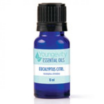 Eucalyptus Citriodora Essential Oil - 10ml