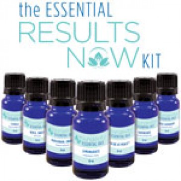 The Essential Results Now Kit