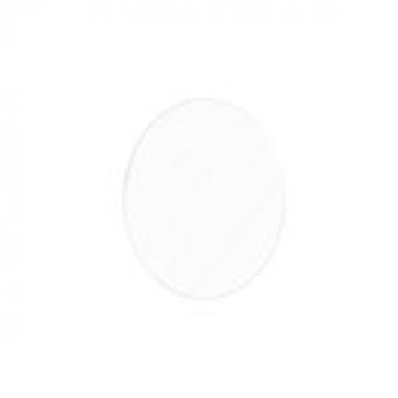 Oval Clear Coin - 3 Pack