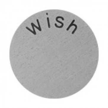 Wish Large Silver Coin