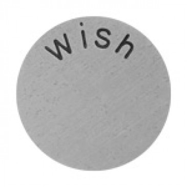 Wish Large Silver Coin