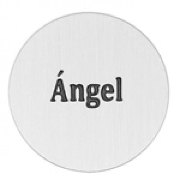 Angel Large Silver Coin