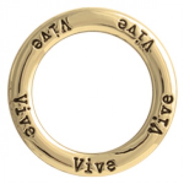 Vive Large Gold Frame