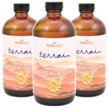 Terrain Ashwagandha (3 Pack)