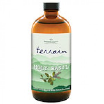 Terrain Holy Basil