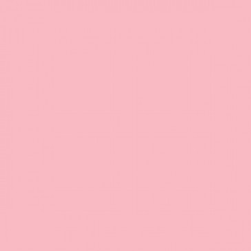 Petal Pink Solid Color Cardstock