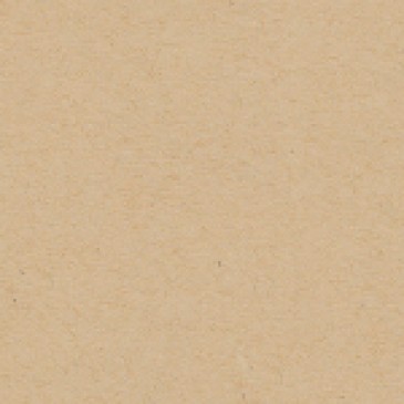 Oatmeal Solid Core Cardstock